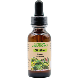 Foot Care Pack - Strike Fungal Treatment + Just for Feet