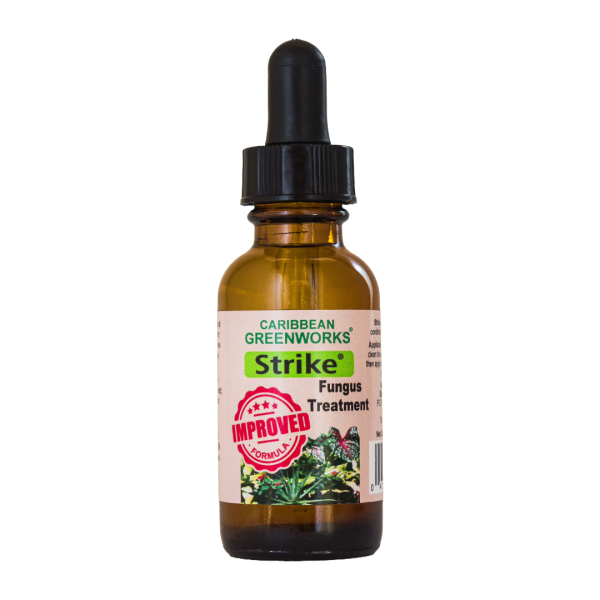 Strike Fungus Treatment 1 oz